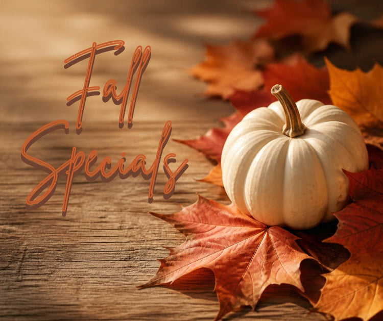 Fall Favorites